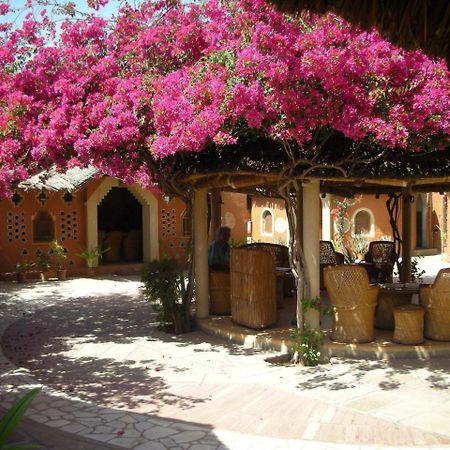 Apani Dhani Eco-Lodge Nawalgarh Exterior photo