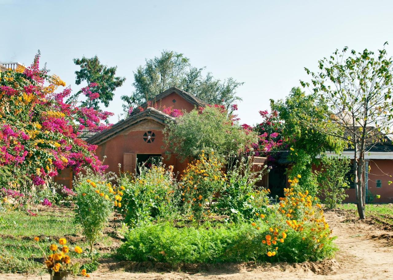 Apani Dhani Eco-Lodge Nawalgarh Exterior photo
